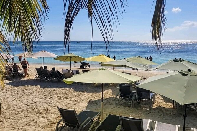 Roatan Sloths & Monkeys, Chocolate Factory plus Beach Break - Rum Company views, samples, and cake