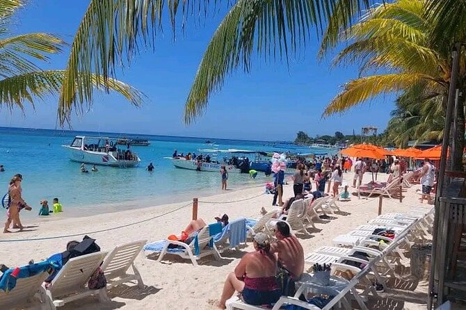 Roatan Sloths & Monkeys, Chocolate Factory plus Beach Break - Close encounters at the French Harbour animal park