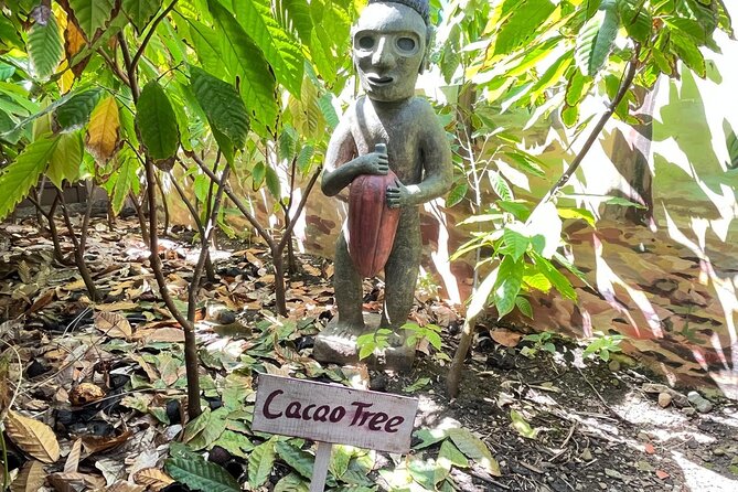 Sabor Dominicano: Rum, Chocolate and Culture Private Tour - Emanuel Cigars and the Skill of Hand Rolling