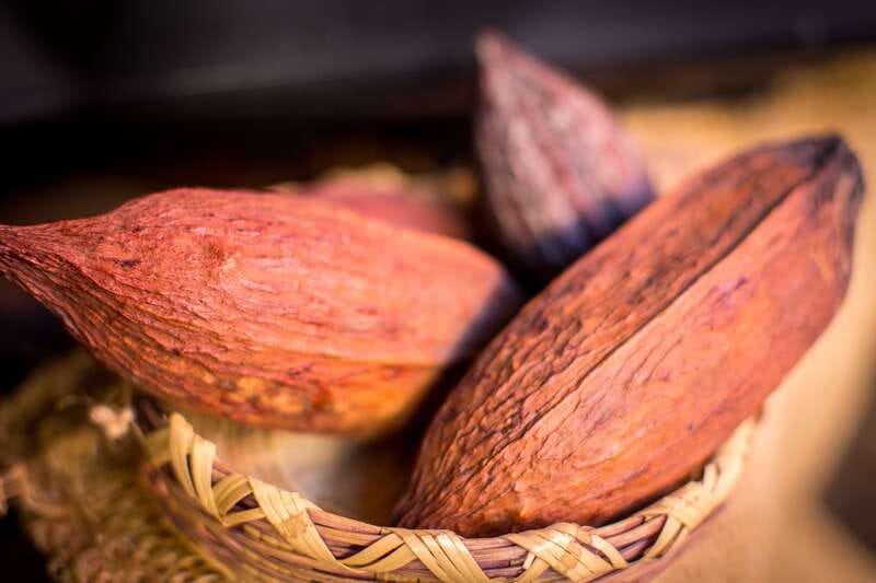 San Miguel de Allende: Chocolate Tasting and Walking Tour - Why chocolate makes a good introduction to San Miguel