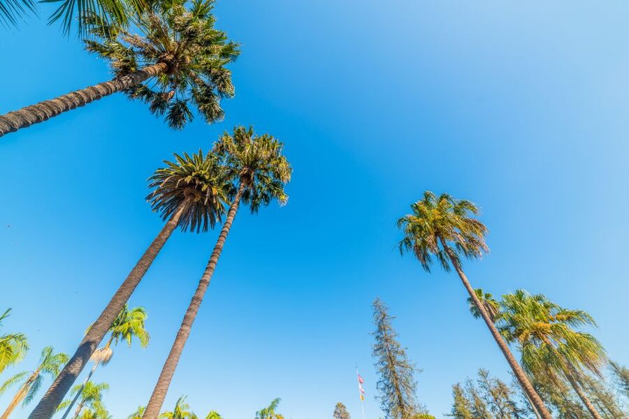Santa Barbara: Wine, Chocolate and History Walking Tour - Practical Tips For A Better Afternoon