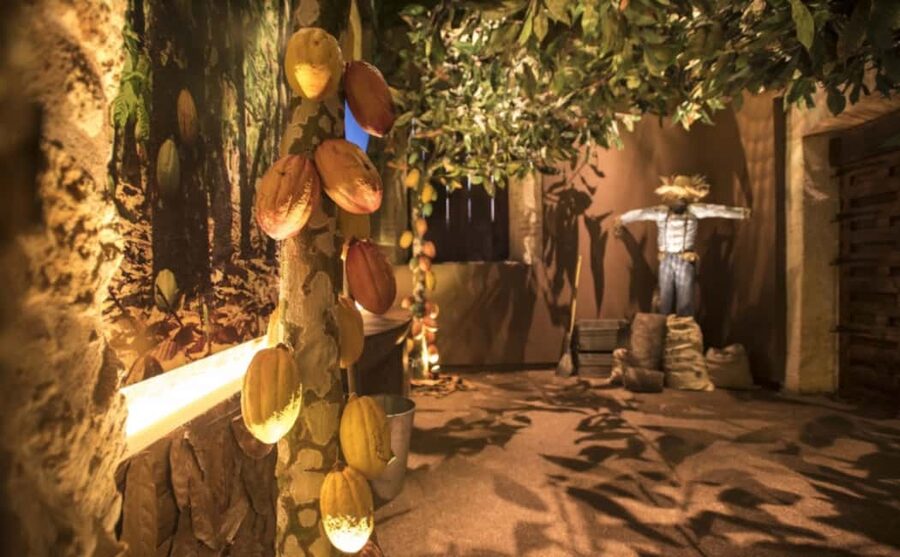 Santo Domingo: Chocolate Tour + Optional Workshops - Choosing between the chocolate and soap workshops