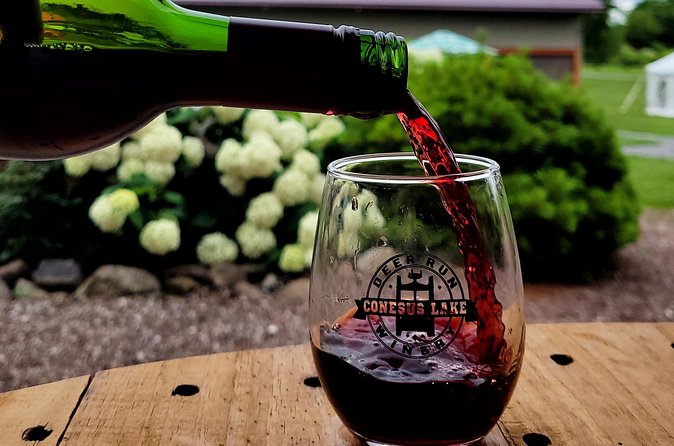 Shared Wine, Chocolate and Cheese Tasting in Conesus Lake - What I Would Keep in Mind Before Booking