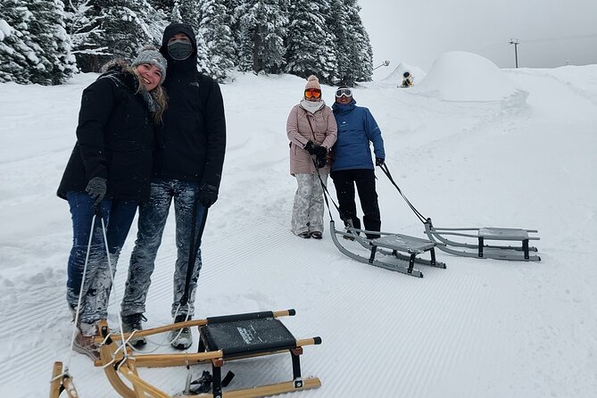 Sledding Cheese Fondue, Chocolate - Learning to steer before the snow gets serious