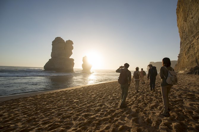 Small-Group Sunset Great Ocean Road Chocolaterie Tour from Melbourne - Otway rainforest without a long hike