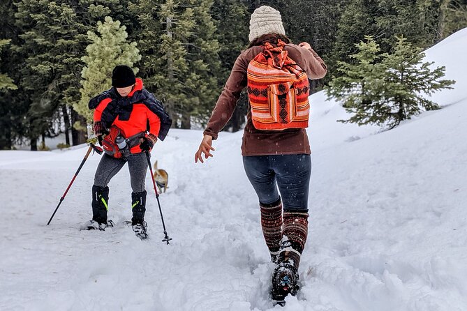 Snowshoe Tour Big Bear Lake with Hot Chocolate - Amber’s local touch makes the difference