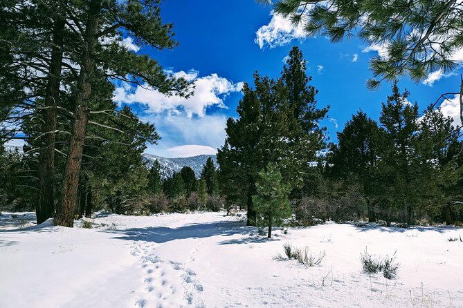 Snowshoe Tour Big Bear Lake with Hot Chocolate - What the hot drink adds to the walk