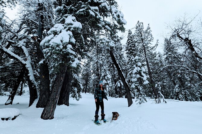 Snowshoe Tour Big Bear Lake with Hot Chocolate - Who will enjoy this most