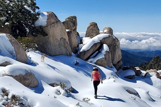 Snowshoe Tour Big Bear Lake with Hot Chocolate - Snowshoeing is possible, but not guaranteed