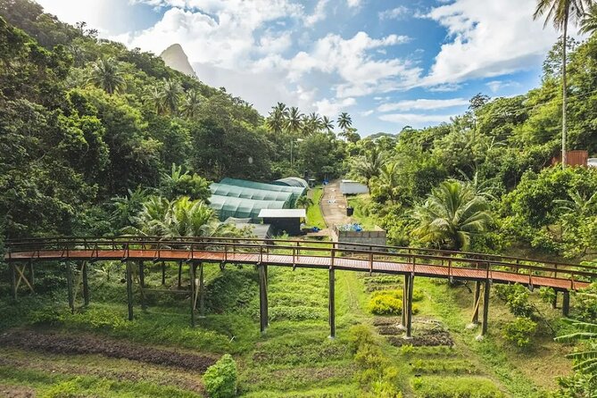 St Lucia Airport Transfer to Hotel Chocolat - A Private 50-Minute Ride to Soufriere