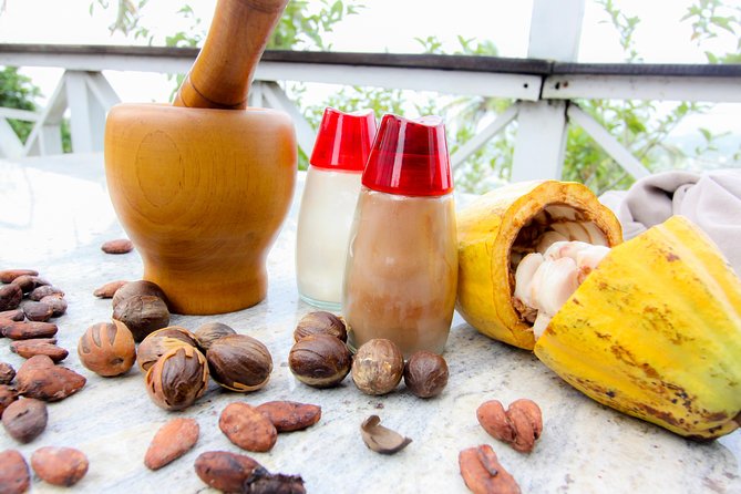 St Lucia Chocolate Making Marigot Bay & Souvenir Shopping - The road through coastal St. Lucia