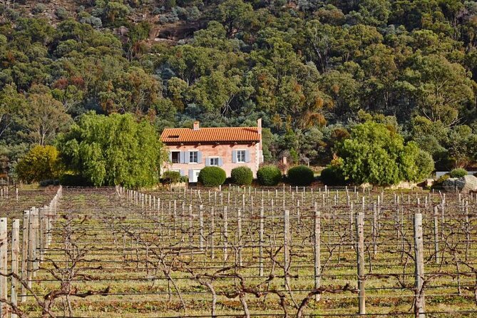Sydney to Hunter Valley Wine Tour | Gin, Lunch, Chocolatier Visit - A French-inspired lunch at Café CouCou