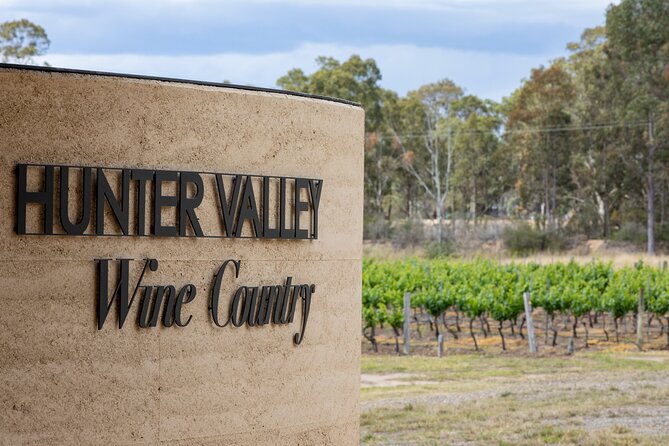 Sydney to Hunter Valley Wine Tour | Gin, Lunch, Chocolatier Visit - The artisan chocolatier visit