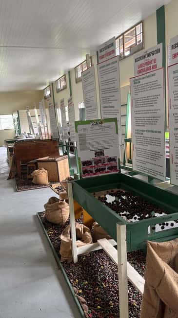Taste & Explore Grenada: Rum, Chocolate & Spice Journey - Laura Herb Garden: a fragrant walk