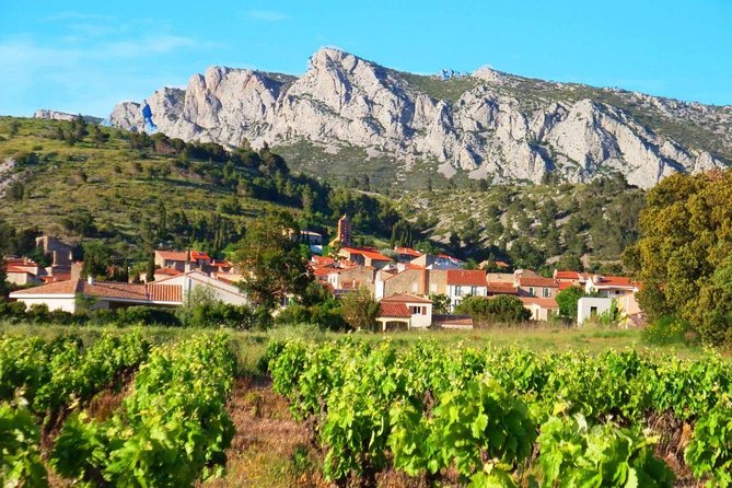 tasting workshop of 6 to 8 wines with charcuterie chocolate cheese - Key points at a glance