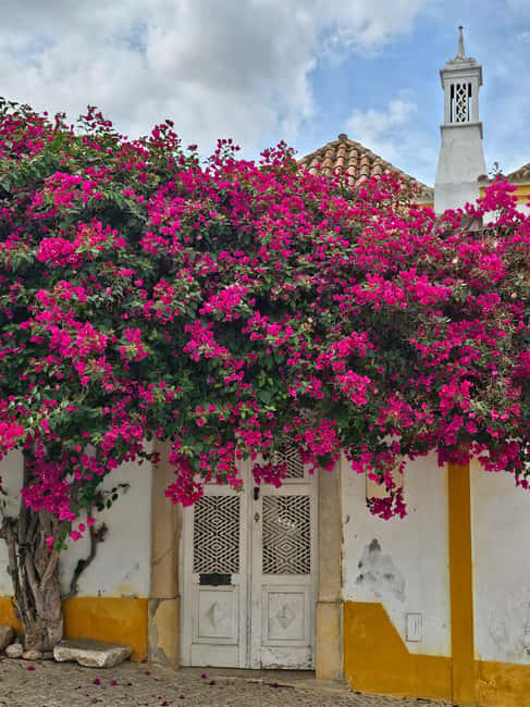 Tavira City & Chocolate - Praça da República and Tavira’s historic center