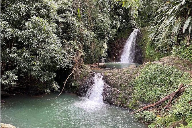 Taxi & Tours in Grenada , Chocolate factory, & more. - Key points to know before booking