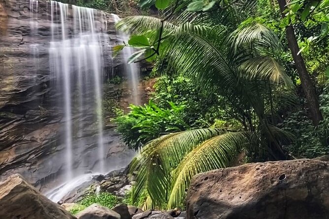 Taxi & Tours in Grenada , Chocolate factory, & more. - What the $120 price really gives you