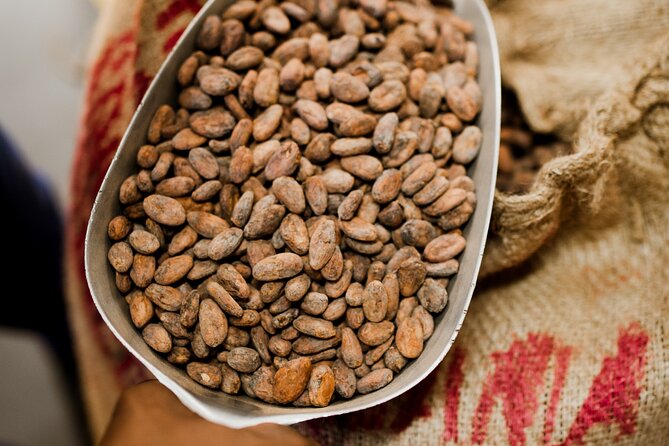 The Art of Chocolate Making Bean-To-Bar Experience in Cape Town - The separate workshops and masterclasses