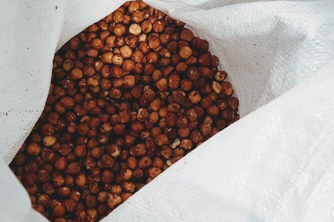 The Turin Chocolate Factory Guided Tour & Tasting - What happens during the 30-minute tour
