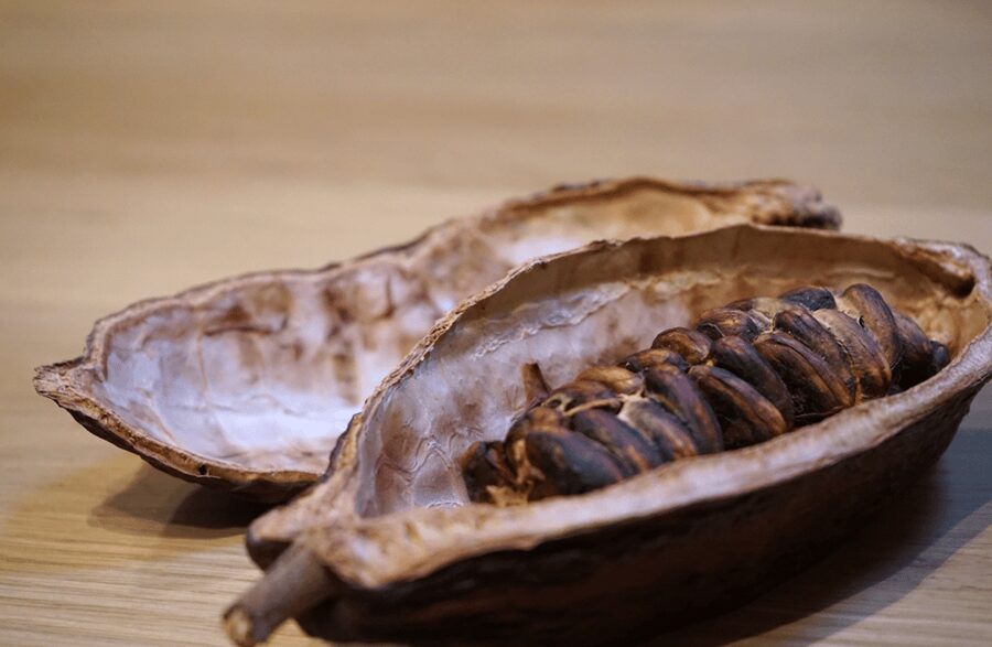 The Turin Chocolate Tasting Experience - Who should book this experience?