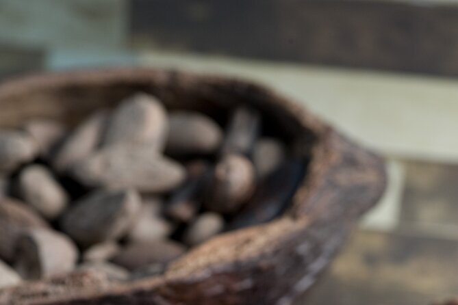 Tour to Uxmal , Cenote Sambula and Chocolate Museum Story - Is the $99 price good value?