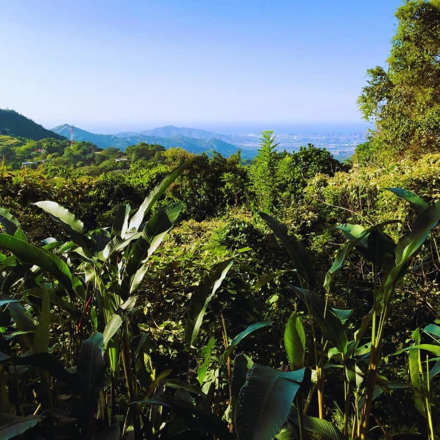 Trekking History and Indigenous Heritage in Minca + Cacao & Coffee + Waterfall - Who Will Enjoy This Minca Experience?