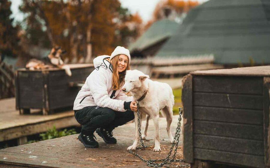Tromsø: Husky Meet and Greet with Homemade Chocolate Cake - Why this husky visit is different from a sledding tour