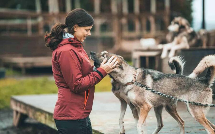 Tromsø: Husky Meet and Greet with Homemade Chocolate Cake - Who should book this husky experience?