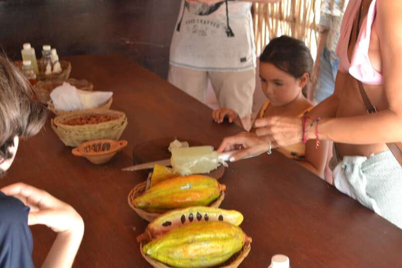 Tulum: Chocolate & Honey Sanctuary Experience with Lunch - What to bring for a comfortable visit