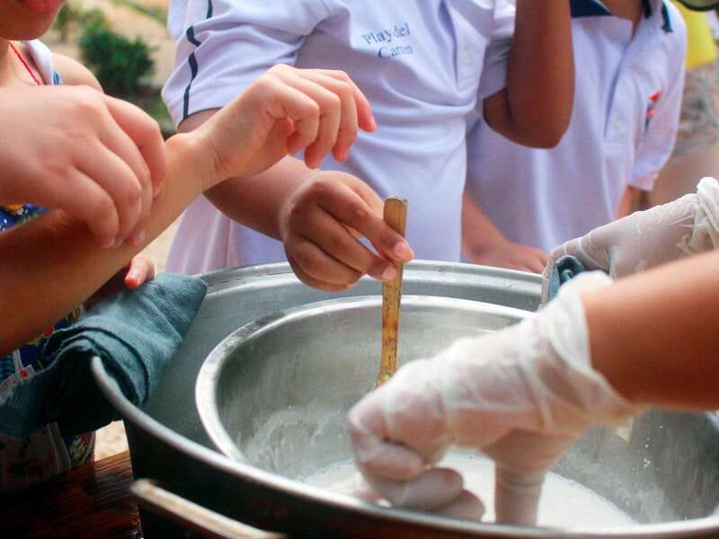 Tulum: Chocolate & Honey Sanctuary Experience with Lunch - Roasting and grinding cacao by hand