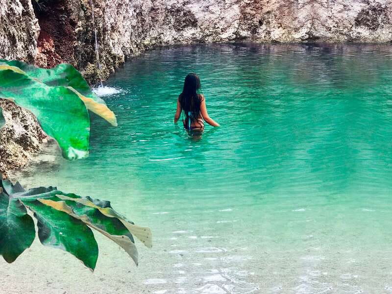 Tulum: Chocolate & Honey Sanctuary Experience with Lunch - Learning about the stingless Maya bee