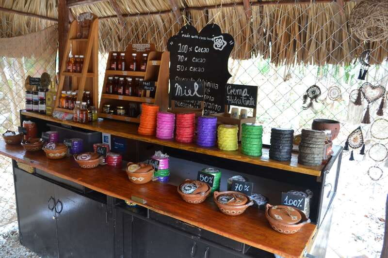 Tulum: Chocolate & Honey Sanctuary Experience with Lunch - How the pace and group atmosphere feel