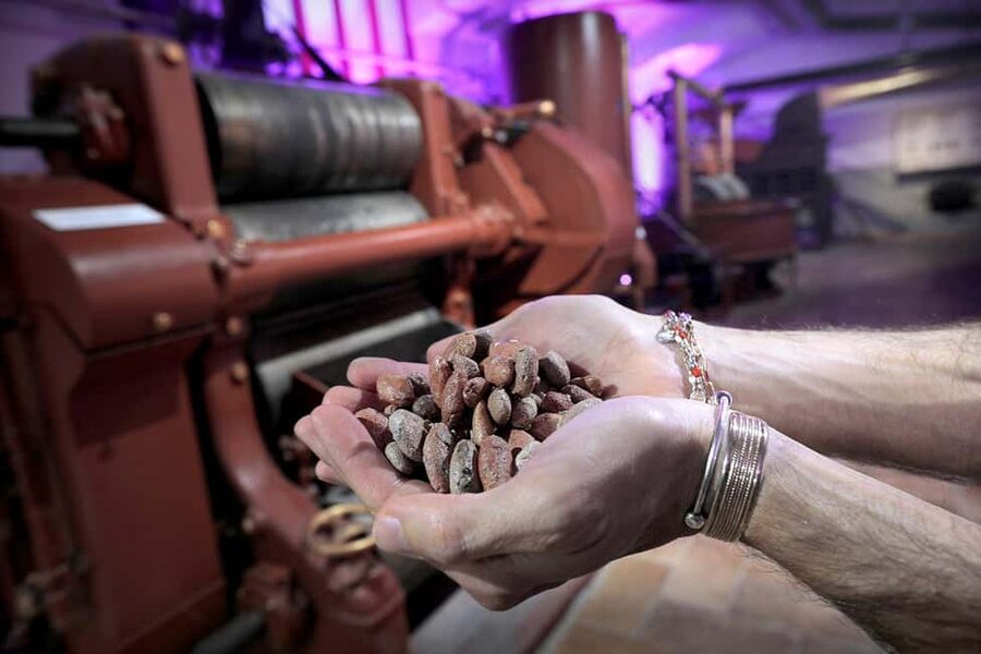 Turin: Visit to the Chocolate and Gianduja Museum, Choco-Story Torino - Is $14 a fair price for one hour?