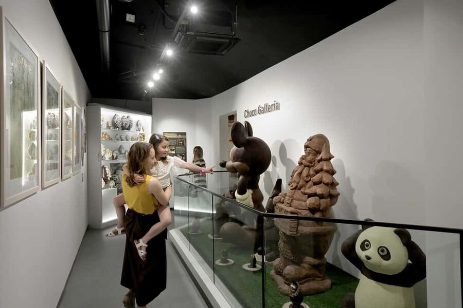 Turin: Visit to the Chocolate and Gianduja Museum, Choco-Story Torino - The opening rooms trace cocoa from the New World
