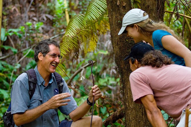 Volcano, Chocolate and Waterfalls of the Big Island - What $308.90 buys you