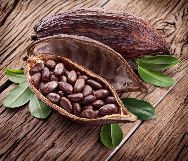 Waterfall, Chocolate Tour, Rainforest, Royal Historical - How much value do you get for $128?
