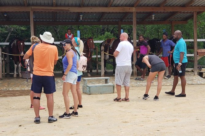 Wildlife adventure, Chocolate factory, city Tour & Beach Break - Key Points to Know Before You Book