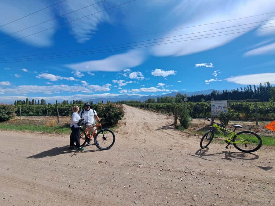 Wine and Chocolate Bike Tour: ride, taste, lunch, vineyards. - Lamadrid Estate Wines and the picnic lunch