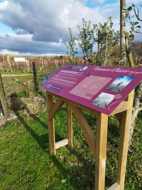 Wine and Chocolate experience - Should you book the Wine and Chocolate experience?