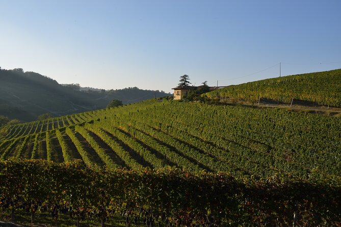 Wine & Chocolate Tour and Tasting in Alba area - What makes Barolo Chinato different