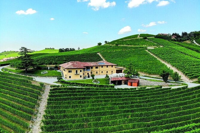 Wine & Chocolate Tour and Tasting in Alba area - Is $66.72 good value?