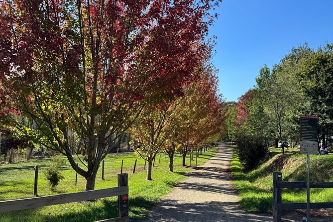 Yarra Valley Foodie Tour, Devonshire Tea, Cheese and Chocolate - A final bite in Kilsyth
