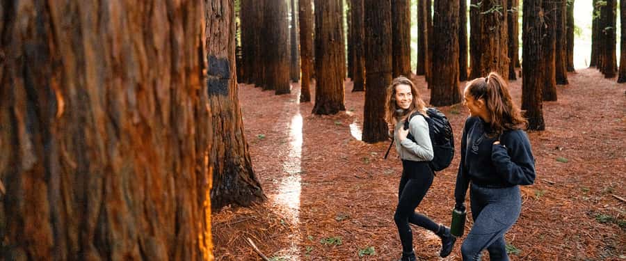 Yarra Valley | Redwoods, Wildlife, Wine, Chocolate - Wine at Yering Station, Victoria’s first vineyard
