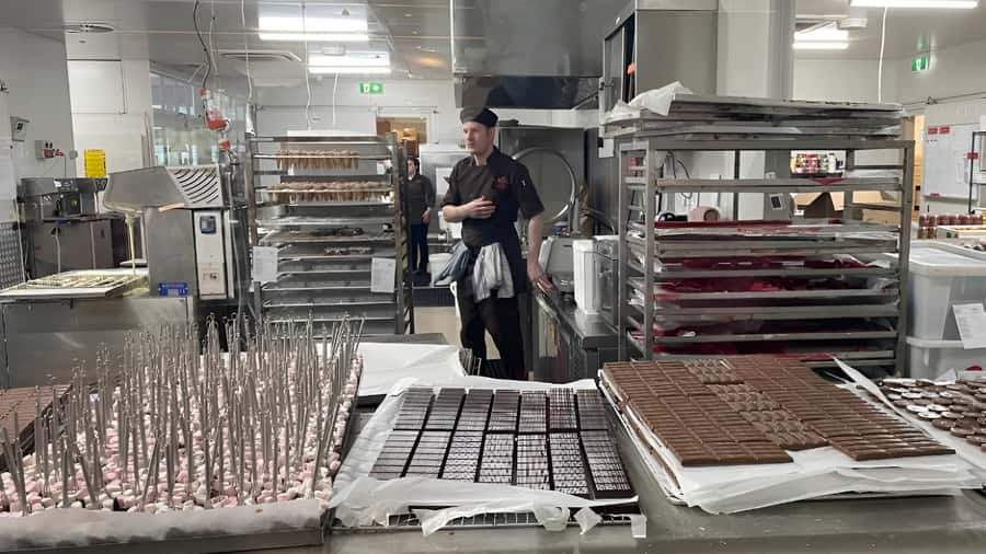 Yarra Valley | Redwoods, Wildlife, Wine, Chocolate - What the $124 price really gives you