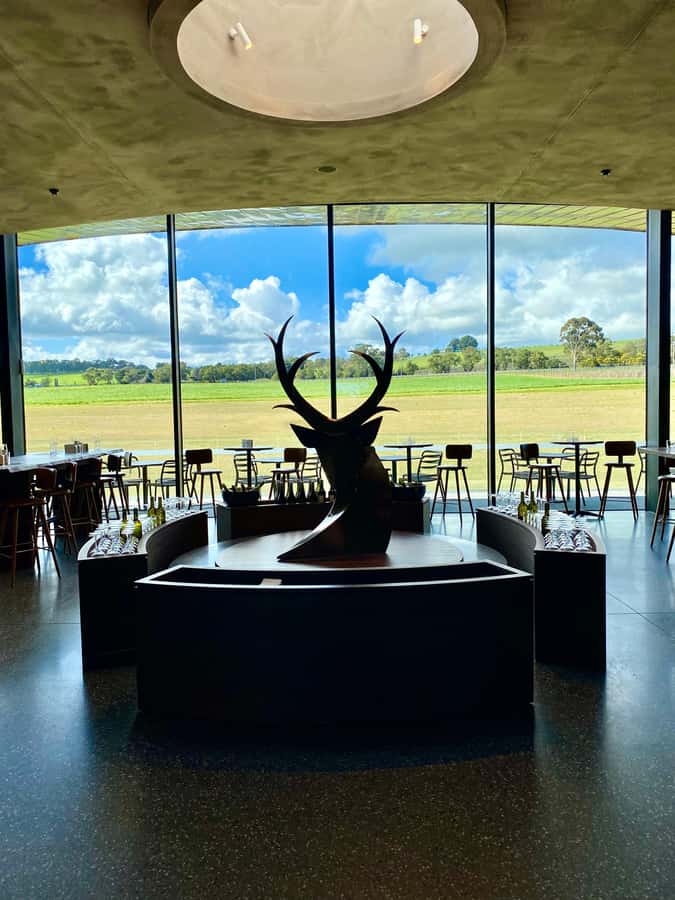 Yarra Valley: Wine and Chocolate tasting tour. - What the $70 price really gives you