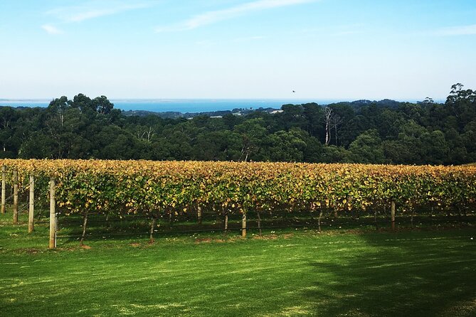 Yarra Valley Wine Tour inc lunch with a glass of wine, tastings and chocolate - Rochford Wines is the day’s main meal stop